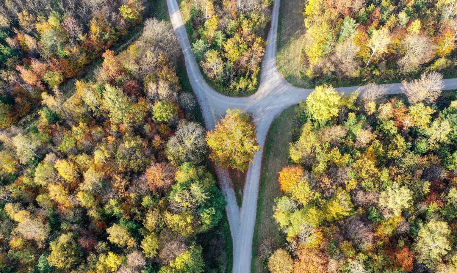 Bifurcación de caminos en un bosque, como la elección entre hipoteca fija, variable o mixta